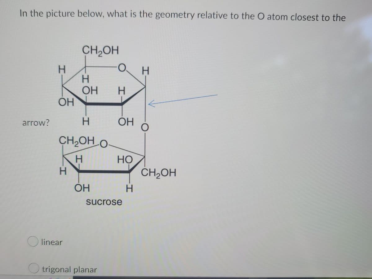 In the picture below, what is the geometry relative to the O atom closest to the
arrow?
H
OH
H
CH₂OH
H
CH₂OH O
H
Olinear
H
ОН
ОН
O
trigonal planar
H
ОН
HO
sucrose
-I
H
H
CH₂OH