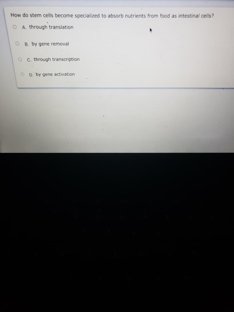 How do stem cells become specialized to absorb nutrients from food as intestinal cells?
A. through translation
B. by gene removal
C. through transcription
D. by gene activation
