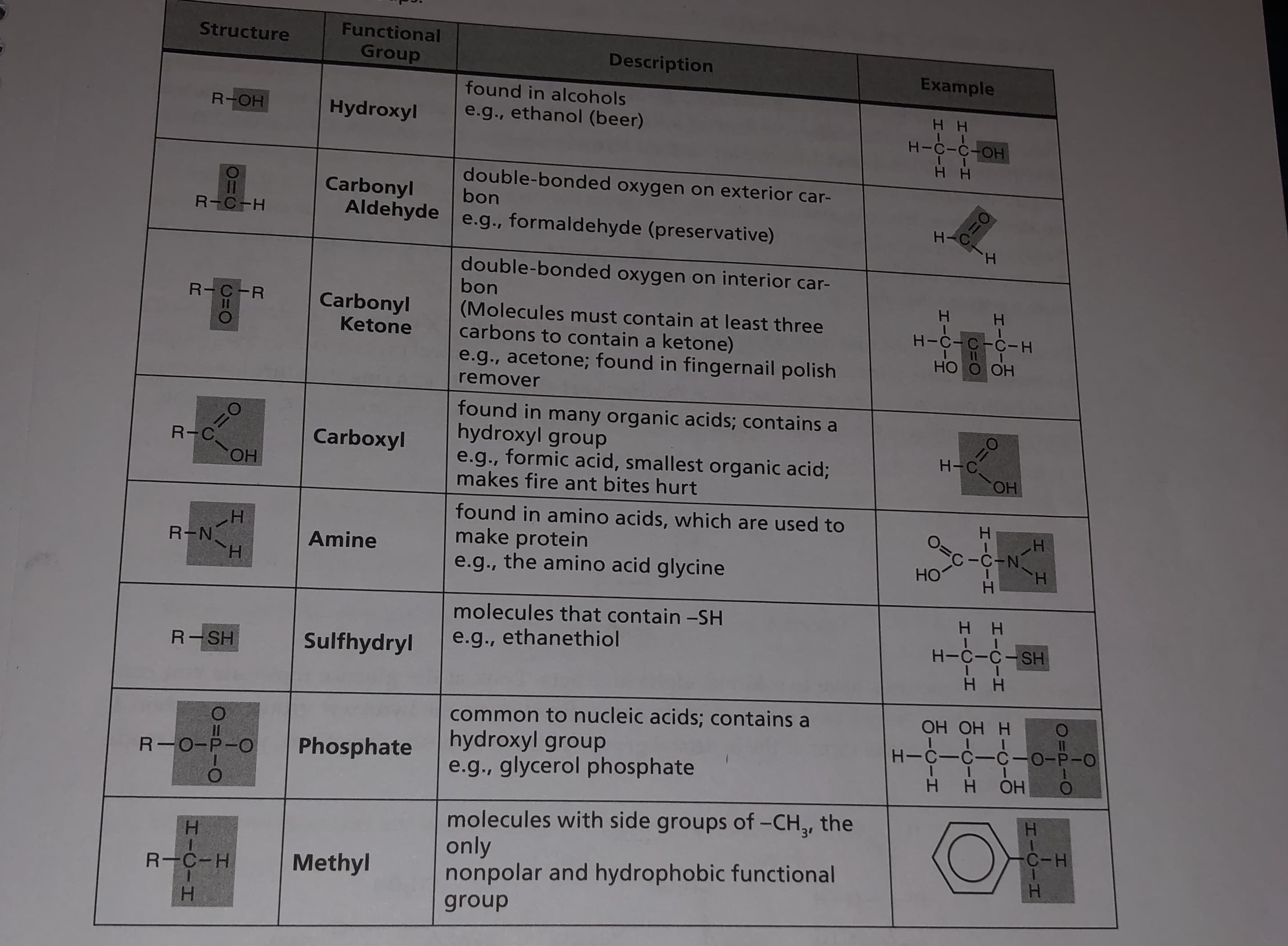 Functional
Structure
Group
Description
Example
found in alcohols
R-OH
Hydroxyl
e.g., ethanol (beer)
нн
H-C-C-OH
double-bonded oxygen on exterior car-
bon
Carbonyl
Aldehyde e.g., formaldehyde (preservative)
11
R-C-H
H.
double-bonded oxygen on interior car-
bon
R-C-R
H.
Carbonyl
(Molecules must contain at least three
carbons to contain a ketone)
H-C-C-C-H
Ketone
НО О ОН
e.g., acetone; found in fingernail polish
remover
found in many organic acids; contains a
hydroxyl group
e.g., formic acid, smallest organic acid;
makes fire ant bites hurt
3D0
R-C
Carboxyl
Он
HO.
found in amino acids, which are used to
make protein
e.g., the amino acid glycine
Н
O=c-C-N
H-
R-N
H.
Amine
Но
molecules that contain -SH
e.g., ethanethiol
H-C-C-SH
Sulfhydryl
R-SH
нн
common to nucleic acids; contains a
hydroxyl group
e.g., glycerol phosphate
OH OH H
H-C-C-C-0-P-O
Phosphate
R-0-P-O
ОН
molecules with side groups of -CH,, the
only
nonpolar and hydrophobic functional
H.
C-H
Methyl
R-C-H
group
HICIH
O=P
