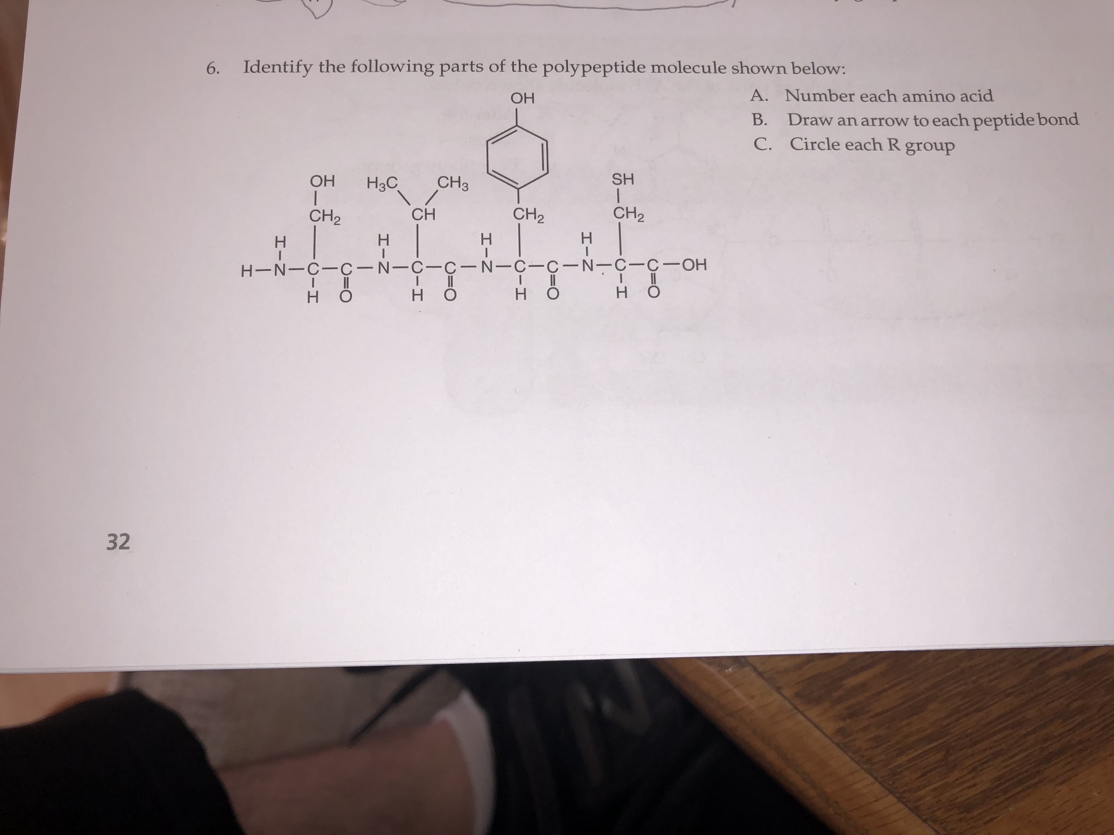 Identify the following parts of the polypeptide molecule shown below:
6.
A. Number each amino acid
ОН
Draw an arrow to each peptide bond
B.
C. Circle each R group
SH
CHз
ОН
H3C
CH2
CH2
CH
CH2
н|
H-N-C-C-N-C-C-N-C-c-N-C-C -OH
н о
H.
H.
н о
H.
32
エーZ
エーZ
エーZ
