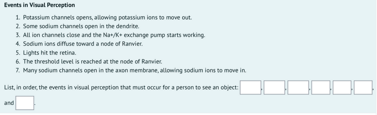 Events in Visual Perception
1. Potassium channels opens, allowing potassium ions to move out.
2. Some sodium channels open in the dendrite.
3. All ion channels close and the Na+/K+ exchange pump starts working.
4. Sodium ions diffuse toward a node of Ranvier.
5. Lights hit the retina.
6. The threshold level is reached at the node of Ranvier.
7. Many sodium channels open in the axon membrane, allowing sodium ions to move in.
List, in order, the events in visual perception that must occur for a person to see an object:
and
