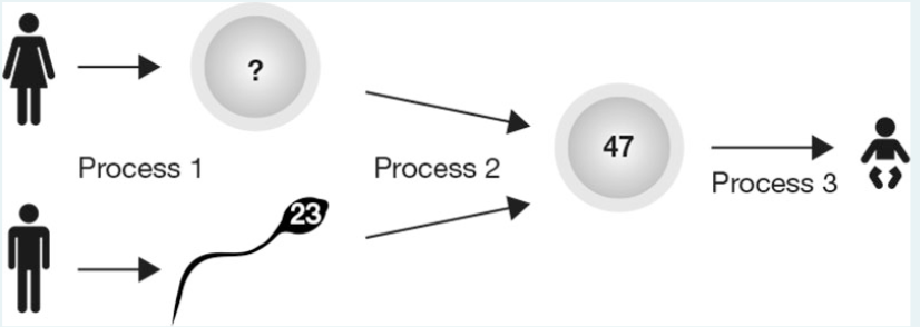 ?
47
Process 1
Process 2
Process 3
23
