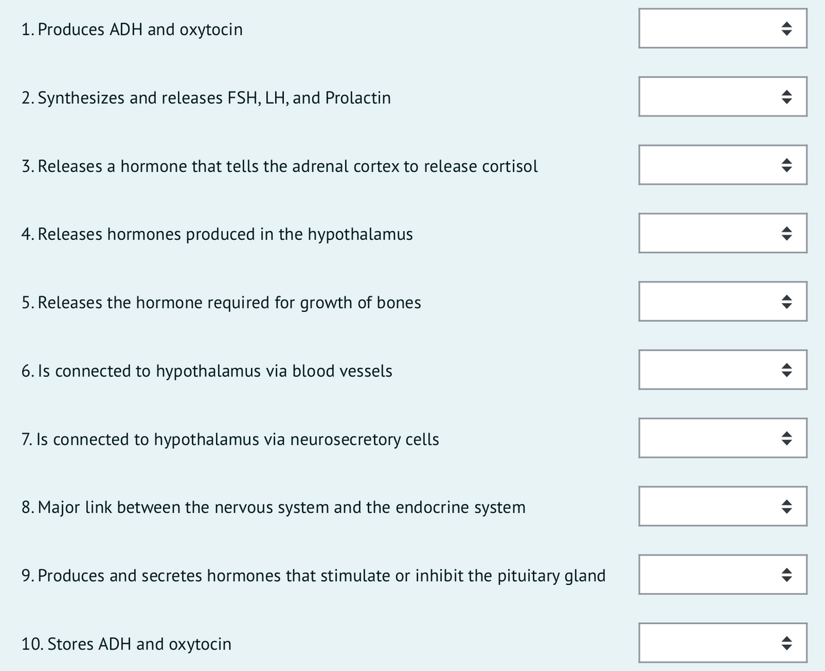 1. Produces ADH and oxytocin
2. Synthesizes and releases FSH, LH, and Prolactin
3. Releases a hormone that tells the adrenal cortex to release cortisol
4. Releases hormones produced in the hypothalamus
5. Releases the hormone required for growth of bones
6. Is connected to hypothalamus via blood vessels
7. Is connected to hypothalamus via neurosecretory cells
8. Major link between the nervous system and the endocrine system
9. Produces and secretes hormones that stimulate or inhibit the pituitary gland
10. Stores ADH and oxytocin
