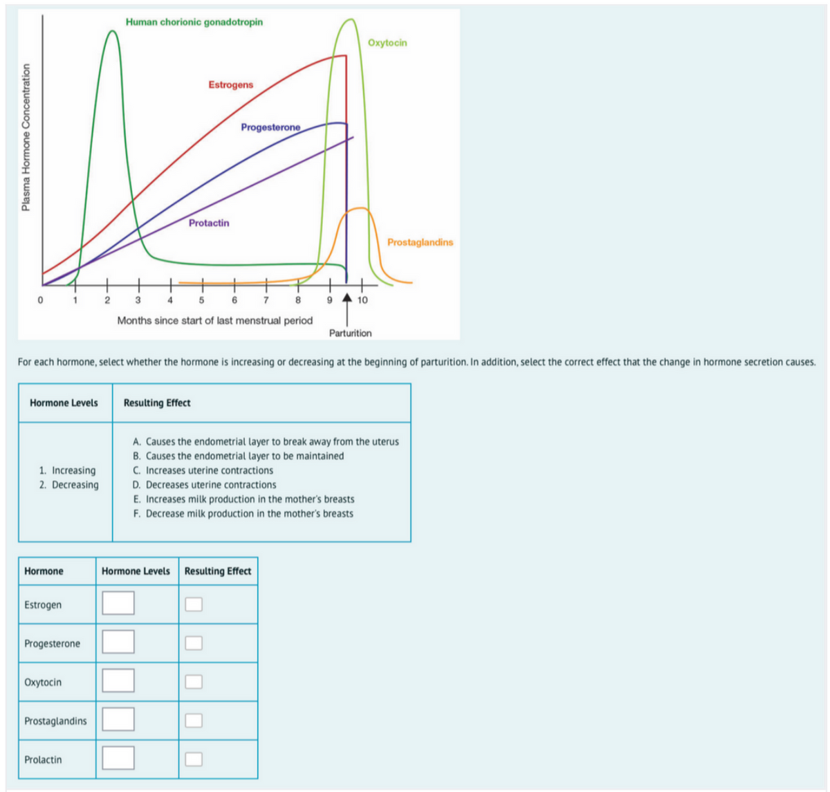 Human chorionic gonadotropin
Oxytocin
Estrogens
Progesterone
Protactin
Prostaglandins
1
3
4
6
7
9 4 10
Months since start of last menstrual period
Parturition
For each hormone, select whether the hormone is increasing or decreasing at the beginning of parturition. In addition, select the correct effect that the change in hormone secretion causes.
Hormone Levels
Resulting Effect
A. Causes the endometrial layer to break away from the uterus
B. Causes the endometrial layer to be maintained
C. Increases uterine contractions
D. Decreases uterine contractions
E. Increases milk production in the mother's breasts
F. Decrease milk production in the mother's breasts
1. Increasing
2. Decreasing
Hormone
Hormone Levels
Resulting Effect
Estrogen
Progesterone
Охytocin
Prostaglandins
Prolactin
Plasma Hormone Concentration
