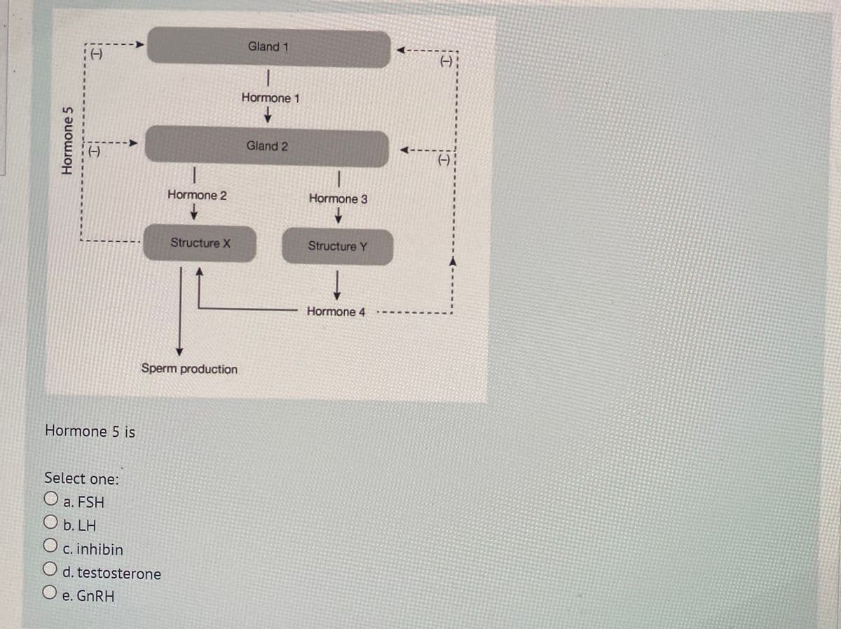 Gland 1
(-)
Hormone 1
Gland 2
(-)
1
Hormone 2
Hormone 3
Structure X
Structure Y
Hormone 4
Sperm production
Hormone 5 is
Select one:
O a. FSH
O b. LH
O c. inhibin
O d. testosterone
O e. GNRH
Hormone 5
