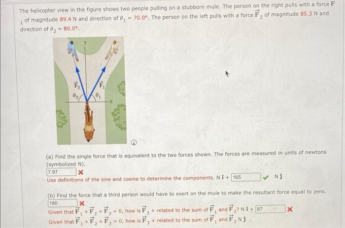 The helicopter view in the figure shows two people pulling on a stubborn mule. The person on the right pulls with a force F
of magnitude 89.4 N and direction of 0, = 70.0°. The person on the left pulls with a force F, of magnitude 85.3 N and
direction of 0, 80.0°.
(a) Find the single force that is equivalent to the two forces shown. The forces are measured in units of newtons
(symbolized N).
7.97
Use definitions of the sine and cosine to determine the components. Ni+ 165
V Nj
(b) Find the force that a third person would have to exert on the mule to make the resultant force equal to zero.
180
Given that F, + F, +F, = 0, how is F, + related to the sum of F, and F,? Ni+ 87
Given that F, + F, +F,- 0, how is F, + related to the sum of F, and F, Nj
