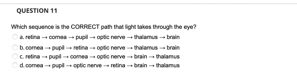 QUESTION 11
Which sequence is the CORRECT path that light takes through the eye?
a. retina – cornea –
pupil → optic nerve → thalamus → brain
b. cornea
pupil
retina →
optic nerve → thalamus –→ brain
C. retina →
pupil
→ cornea →
optic nerve → brain → thalamus
d. cornea →
pupil → optic nerve → retina → brain – thalamus
