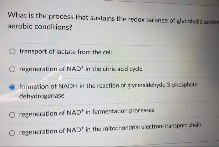 What is the process that sustains the redox balance of glycolysis under
aerobic conditions?
O transport of lactate from the cell
O regeneration of NAD* in the citric acid cycle
O formation of NADH in the reaction of glyceraldehyde 3-phosphate
dehydrogenase
regeneration of NAD* in fermentation processes
O regeneration of NAD* in the mitochondrial electron-transport chain