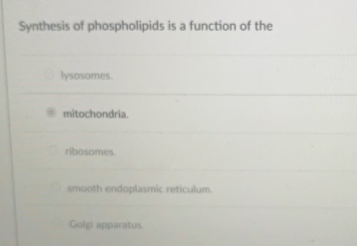 Synthesis of phospholipids is a function of the
lysosomes.
mitochondria.
ribosomes.
smooth endoplasmic reticulum.
Golgi apparatus.
