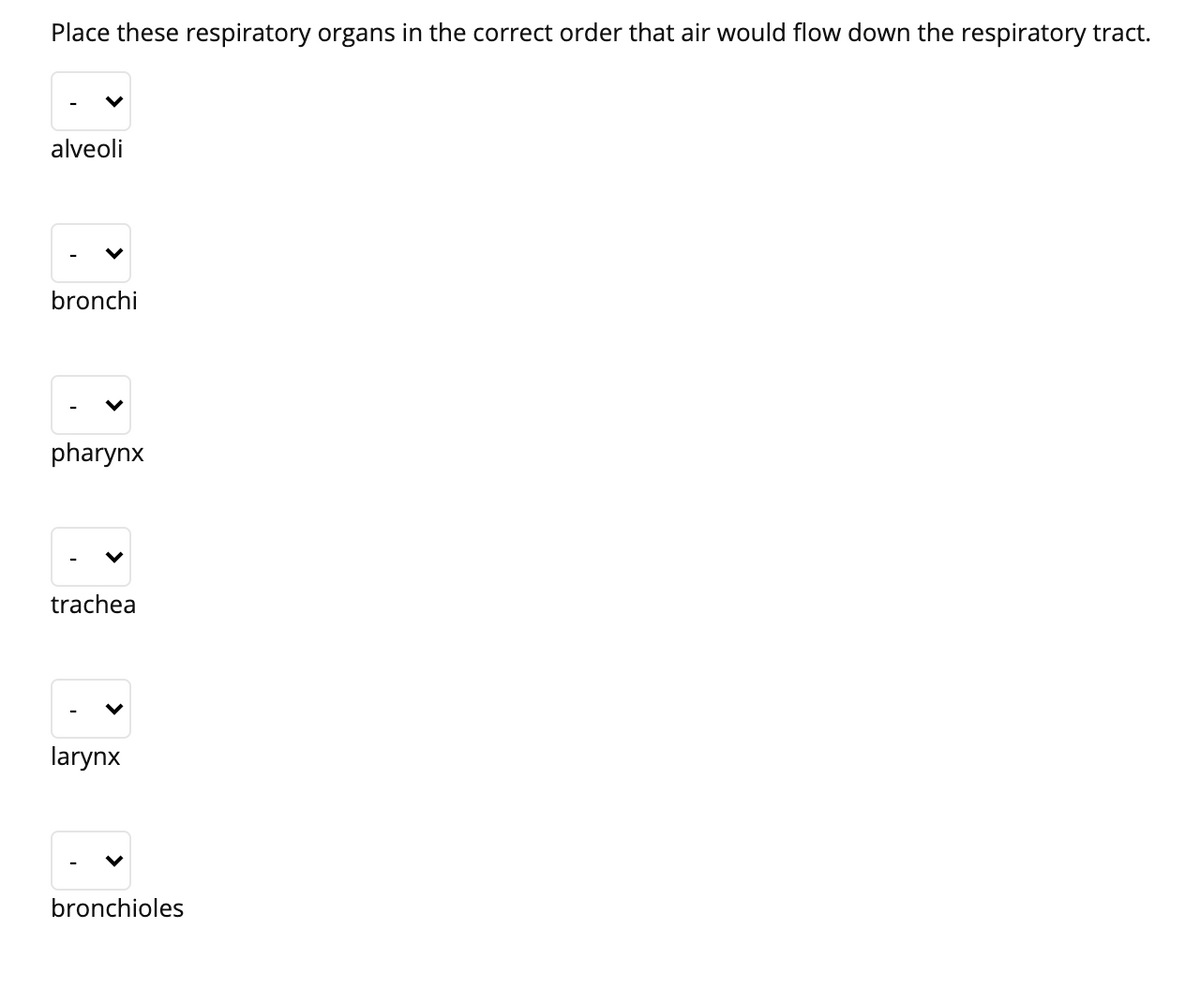 Place these respiratory organs in the correct order that air would flow down the respiratory tract.
alveoli
bronchi
pharynx
trachea
larynx
bronchioles
