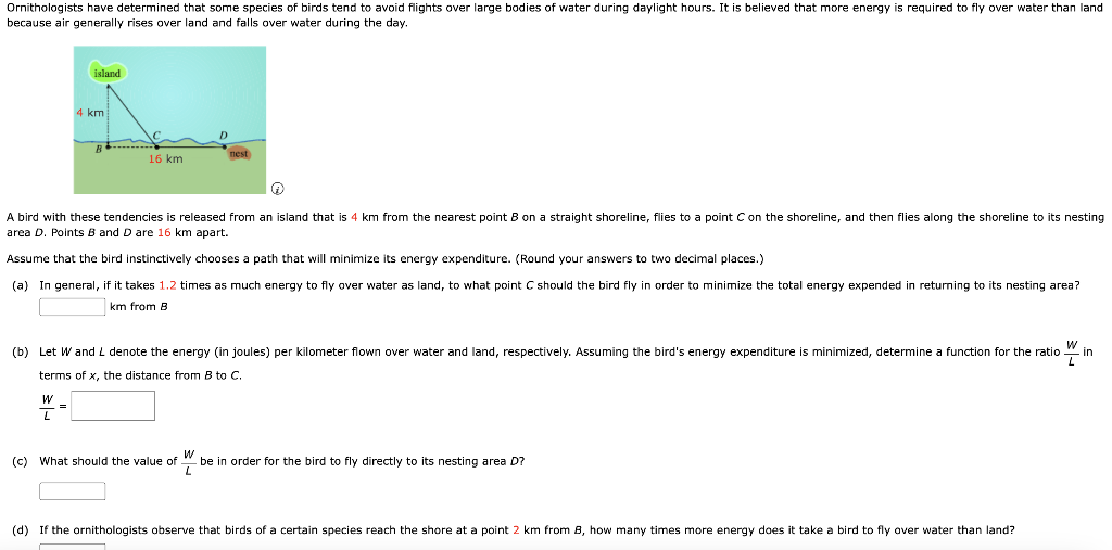 Ornithologists have determined that some species of birds tend to avoid flights over large bodies of water during daylight hours. It is believed that more energy is required to fly over water than land
because air generally rises over land and falls over water during the day.
island
4 km
16 km
W
L
D
nest
@
A bird with these tendencies is released from an island that is 4 km from the nearest point B on a straight shoreline, flies to a point C on the shoreline, and then flies along the shoreline to its nesting
area D. Points B and D are 16 km apart.
Assume that the bird instinctively chooses a path that will minimize its energy expenditure. (Round your answers to two decimal places.)
(a) In general, if it takes 1.2 times as much energy to fly over water as land, to what point C should the bird fly in order to minimize the total energy expended in returning to its nesting area?
km from B
(b) Let W and L denote the energy (in joules) per kilometer flown over water and land, respectively. Assuming the bird's energy expenditure is minimized, determine a function for the ratio
terms of x, the distance from B to C.
(c) What should the value of
W
L
be in order for the bird to fly directly to its nesting area D?
(d) If the ornithologists observe that birds of a certain species reach the shore at a point 2 km from 8, how many times more energy does it take a bird to fly over water than land?
W
- in
L