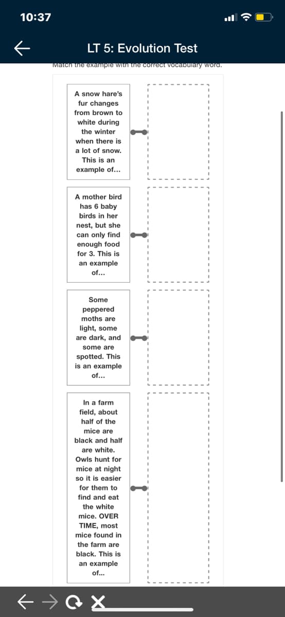10:37
LT 5: Evolution Test
Match the exampre with ne correct vocabulary wora.
A snow hare's
fur changes
from brown to
white during
the winter
when there is
a lot of snow.
This is an
example of...
A mother bird
has 6 baby
birds in her
nest, but she
can only find
enough food
for 3. This is
an example
of...
Some
peppered
moths are
light, some
are dark, and
some are
spotted. This
is an example
of...
In a farm
field, about
half of the
mice are
black and half
are white.
Owls hunt for
mice at night
so it is easier
for them to
find and eat
the white
mice. OVER
TIME, most
mice found in
the farm are
black. This is
an example
of...
