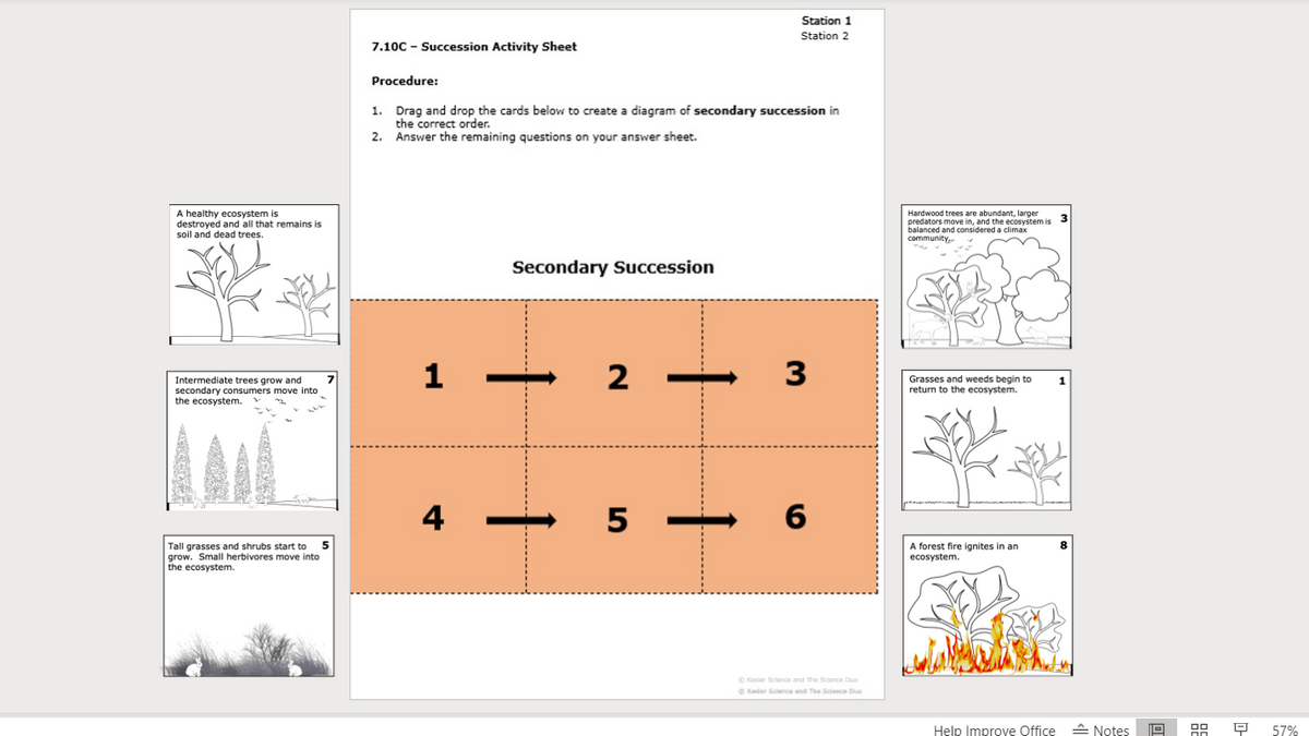 Station 1
Station 2
7.10C - Succession Activity Sheet
Procedure:
1. Drag and drop the cards below to create a diagram of secondary succession in
the correct order.
2. Answer the remaining questions on your answer sheet.
A healthy ecosystem is
destroyed and all that remains is
soil and dead trees.
Hardwood trees are abundant, larger
predators move in, and the ecosystem is
balanced and considered a climax
community,
3
Secondary Succession
Intermediate trees grow and
secondary consumers move into
the ecosystem.
1
2 -
3
Grasses and weeds begin to
return to the ecosystem.
4
5 -
6
5
A forest fire ignites in an
ecosystem.
8
Tall grasses and shrubs start to
grow. Small herbivores move into
the ecosystem.
O Kesier Science and The Science Duo
Gkaler Scnced The Sdenc Duo
Help Improve Office
- Notes
57%
1
