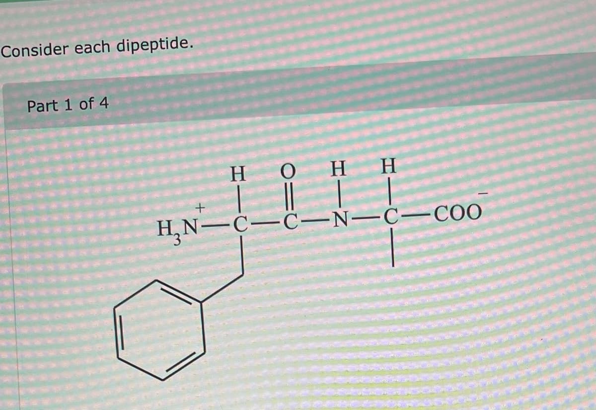 Consider each dipeptide.
Part 1 of 4
H
H H
H₂N-C-C-NC-COO