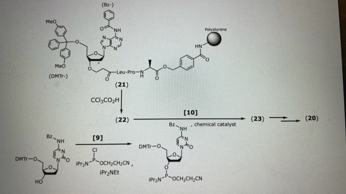 (Bz-)
Meo
NH.
Polystyrene
HN
Meo
-Leu-Pro-N
(DMT--)
(21)
CCl;CO2H
[10]
(22)
(23) (20)
chemical catalyst
Bz.
NH
BZNH
[9]
DMTr-O,
DMTr-O.
OCH2CH2CN,
iPr,NEt
HO
iPr2N
OCH,CH,CN
