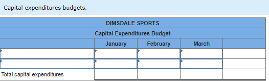 Capital expenditures budgets.
Total capital expenditures
DIMSDALE SPORTS
Capital Expenditures Budget
January
February
March