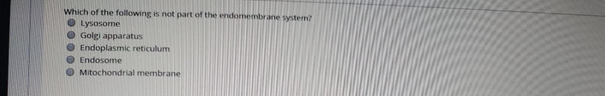 Which of the following is not part of the endomembrane system?
O Lysosome
O Golgi apparatus
O Endoplasmic reticulum
O Endosome
O Mitochondrial membrane
