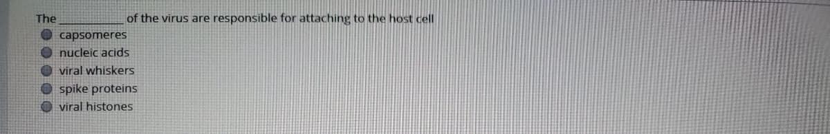 The
of the virus are responsible for attaching to the host cell
O capsomeres
O nucleic acids
O viral whiskers
spike proteins
O viral histones
