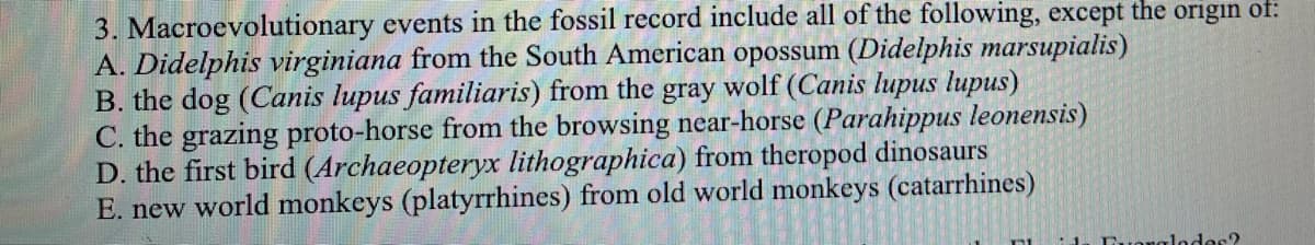 3. Macroevolutionary events in the fossil record include all of the following, except the origin of:
A. Didelphis virginiana from the South American opossum (Didelphis marsupialis)
B. the dog (Canis lupus familiaris) from the gray wolf (Canis lupus lupus)
C. the grazing proto-horse from the browsing near-horse (Parahippus leonensis)
D. the first bird (Archaeopteryx lithographica) from theropod dinosaurs
E. new world monkeys (platyrrhines) from old world monkeys (catarrhines)
Euonglodes?
