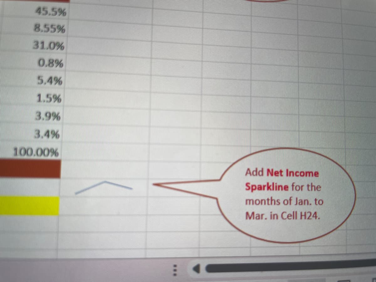 45.5%
8.55%
31.0%
0.8%
5.4%
1.5%
3.9%
3.4%
100.00%
***
Add Net Income
Sparkline for the
months of Jan. to
Mar. in Cell H24.