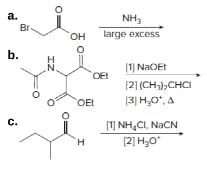 a.
NH3
Br
-
Он
large excess
b.
н
.N.
[1] NaOEt
OEt
[2] (CH3)2CHCI
`OEt
[3] H30*, A
c.
[1] NH,CI, NaCN
[2] H3O*
H.
