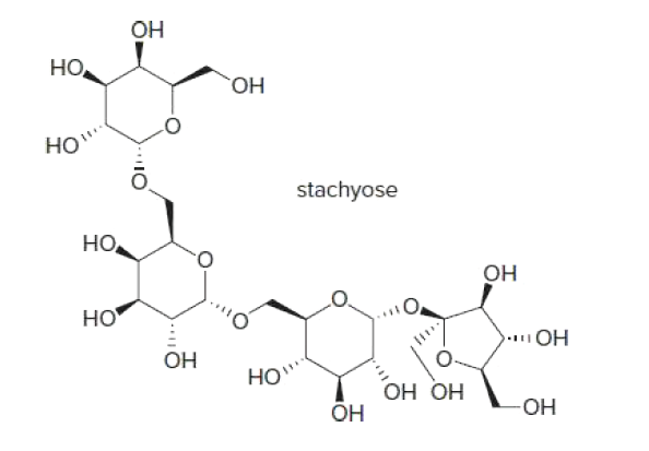 Он
но
ОН
но
stachyose
но,
он
но
Он
ОН
HO"
Но но
-HO-
ОН
