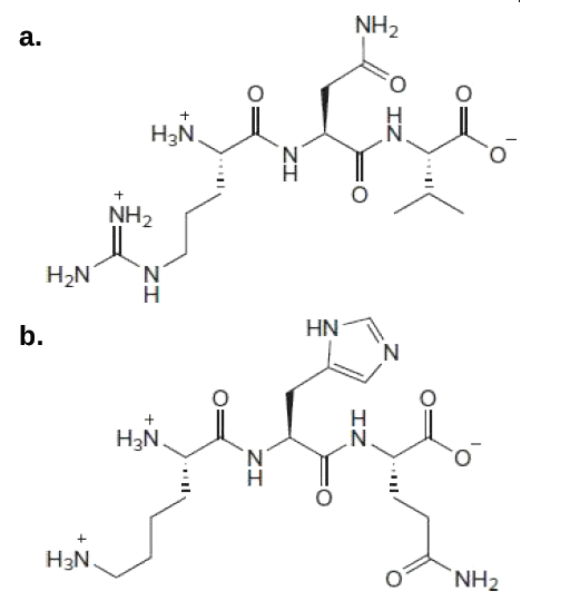 NH2
a.
H3N,
N'
NH2
H2N
'N'
Н
b.
HN
N.
нам,
H3N
N'
H3N.
NH2
