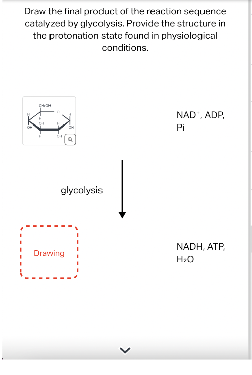 Draw the final product of the reaction sequence
catalyzed by glycolysis. Provide the structure in
the protonation state found in physiological
conditions.
CH-CH
OH
Q
NAD+, ADP,
Pi
о
H
H
H
он
H
OH
H
он
glycolysis
Drawing
NADH, ATP,
H2O
>