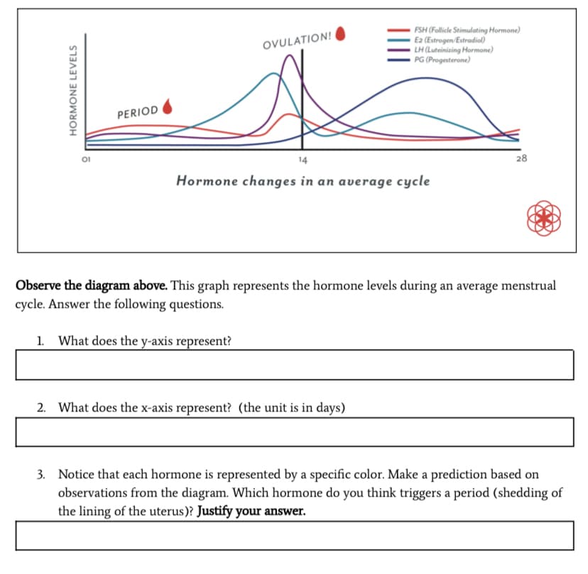 FSH (Follicle Stimulating Hormone)
E2 (Estrogen/Estradiol)
LH (Luteinizing Hormone)
PG (Progesterone)
OVULATION!
PERIOD
14
28
Hormone changes in an average cycle
Observe the diagram above. This graph represents the hormone levels during an average menstrual
cycle. Answer the following questions.
What does the y-axis represent?
2. What does the x-axis represent? (the unit is in days)
3. Notice that each hormone is represented by a specific color. Make a prediction based on
observations from the diagram. Which hormone do you think triggers a period (shedding of
the lining of the uterus)? Justify your answer.
HORMONE LEVELS
III
