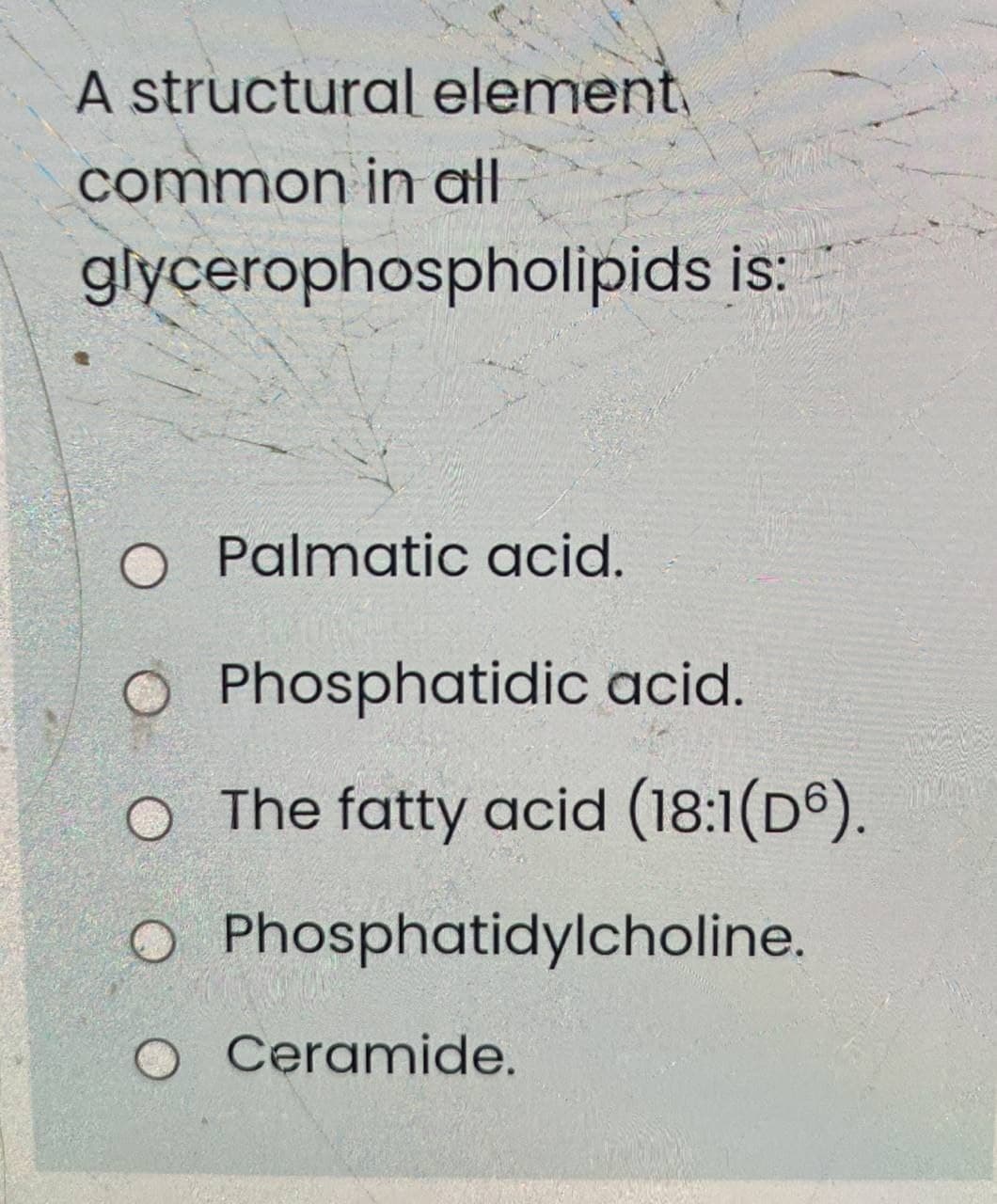 A structural element,
common in all
glycerophospholipids is:
O Palmatic acid.
O Phosphatidic acid.
O The fatty acid (18:1(D6).
Phosphatidylcholine.
O Ceramide.
