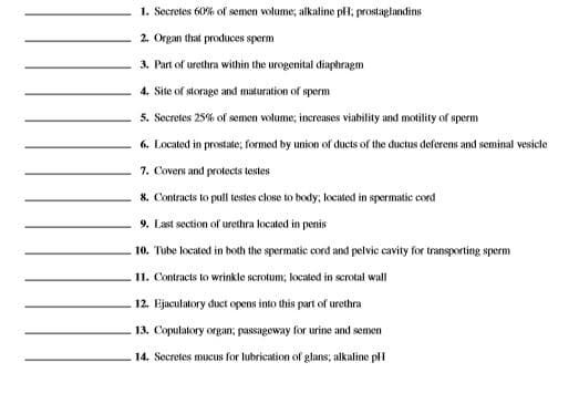 1. Secretes 60% of semen volume; alkaline pH; prostaglandins
2. Organ that produces sperm
3. Part of urethra within the urogenital diaphragm
4. Site of storage and maturation of sperm
5. Secretes 25% of semen volume, increases viability and motility of sperm
6. Located in prostate; formed by union of ducts of the ductus deferens and seminal vesicle
7. Covers and protects testes
8. Contracts to pull testes close to body; located in spermatic cord
9. Last section of urethra located in penis
10. Tube located in both the spermatic cord and pelvic cavity for transporting sperm
11. Contracts to wrinkle scrotum; located in scrotal wall
12. Ejaculatory duct opens into this part of urethra
13. Copulatory organ; passageway for urine and semen
14. Secretes mucus for lubrication of glans; alkaline plI
