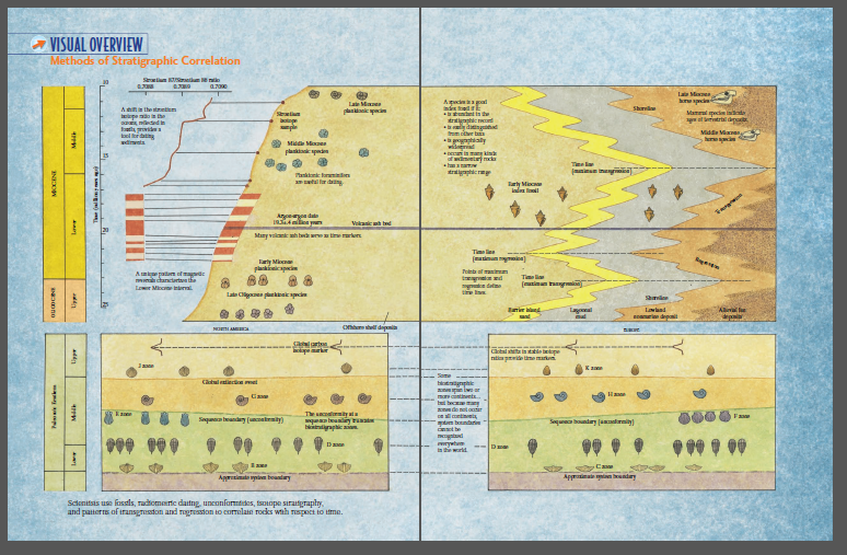 VISUAL OVERVIEW
Methods of Stratigraphic Correlation
S m rantu no
La Mae
Ap ad
Late M
plan yin
Sharvila
ttel is te
tratig
ly dngna
m cter tas
Mamral pecin ito
atritrtal dp
Setm
oge
ple
atls pvida
lrdating
dinyeta
Middia Mnas
hurein
* M Moes
pla padn
wilr
of wdneter mke
Tee la
trtigaphirm
inu ne
anktank tarin
er dan
larty Mi
Ind ll
Aroeryon date
1 en yn
Vokan h td
Many valani htw wrn
Time liee
atimn oa)
arly Mi
plak
Ponb af manim
Amie patam ofmde
mi chancturtaen the
Time lia
al wd
e dtm
(atiman ani
Lower Miore inieral
Late Cge kspi
Shai
arir nd
Laal
Laland
Alinal fe
ep
Banri depal
N I AM
o dani
Ctal tin pe
ntia pie tme markn
Kae
b gpik
catuliere mal
ma ent
bt be
de ntonr
Econtines
Ha
The sacaloity ata
Fa
Snqun beandey (unateity)
Soqunec boundary (anlarniy)
btiap ion
mgntd
rywtu
In the world
Dae
Da
timto nin boantary
Apprima nunday
Sdenitsis use fnssls, rachomerte daitng, uneonfontdes, tsoope siraitgraphy.
and patterns of iransgreston and ngression to comelate rocks wah nspct to tme.
Pl fre
addn
