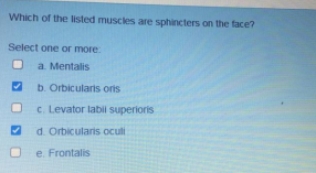 Which of the listed muscles are sphincters on the face?
Select one or more
a. Mentalis
b. Orbicularis oris
c. Levator labi superioris
d. Orbicularis oculi
e. Frontalis
