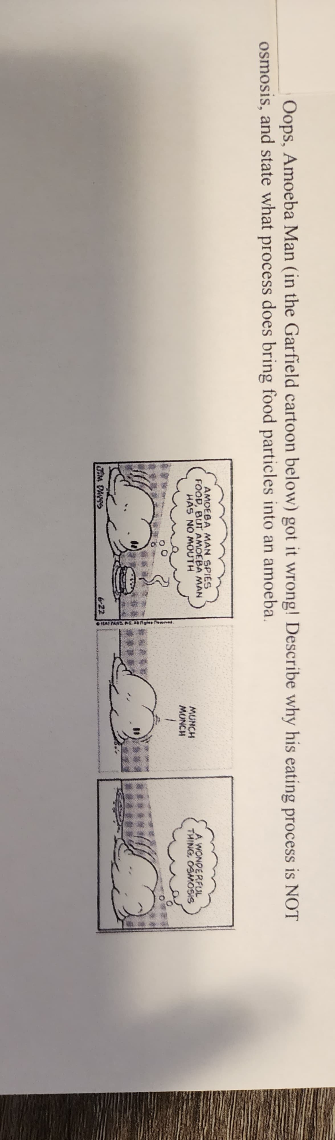 Oops, Amoeba Man (in the Garfield cartoon below) got it wrong! Describe why his eating process is NOT
osmosis, and state what process does bring food particles into an amoeba.
AMOEBA MAN SPIES
FOOD, BUT AMOEBA MAN
HAS NO MOUTH
JIM DAVIS
14A PAND CA3 fighe Deserved.
MUNCH
MONCH
DE***
A WONDERFUL
THING, OSMOSIS