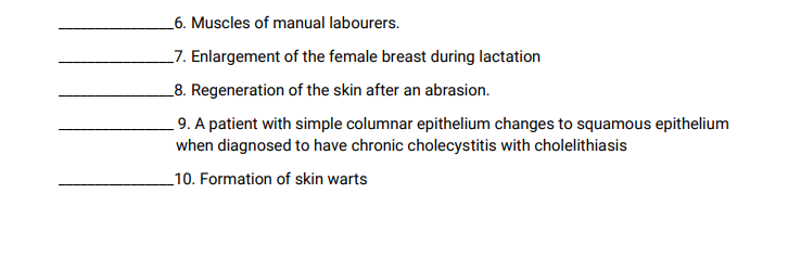 _6. Muscles of manual labourers.
_7. Enlargement of the female breast during lactation
_8. Regeneration of the skin after an abrasion.
9. A patient with simple columnar epithelium changes to squamous epithelium
when diagnosed to have chronic cholecystitis with cholelithiasis
_10. Formation of skin warts
