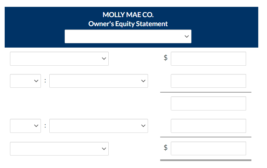 >
>
:
:
MOLLY MAE CO.
Owner's Equity Statement
>
<
$
LA
$