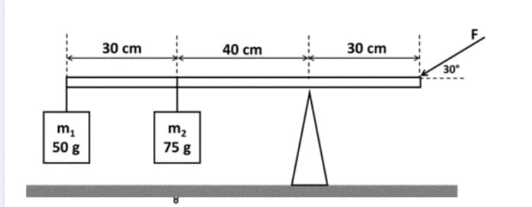 F
30 cm
40 cm
30 cm
30°
m2
m1
50 g
75 g
