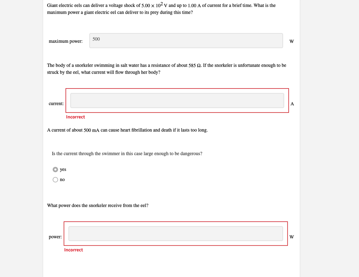 Giant electric eels can deliver a voltage shock of 5.00 × 10² V and up to 1.00 A of current for a brief time. What is the
maximum power a giant electric eel can deliver to its prey during this time?
maximum power:
The body of a snorkeler swimming in salt water has a resistance of about 585 2. If the snorkeler is unfortunate enough to be
struck by the eel, what current will flow through her body?
current:
Incorrect
A current of about 500 mA can cause heart fibrillation and death if it lasts too long.
Is the current through the swimmer in this case large enough to be dangerous?
yes
no
500
power:
What power does the snorkeler receive from the eel?
Incorrect
W
A
W