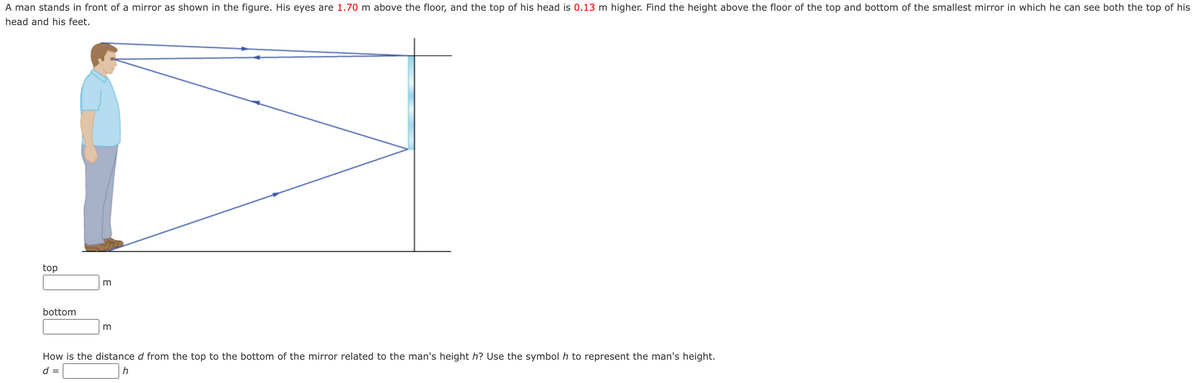 A man stands in front of a mirror as shown in the figure. His eyes are 1.70 m above the floor, and the top of his head is 0.13 m higher. Find the height above the floor of the top and bottom of the smallest mirror in which he can see both the top of his
head and his feet.
top
bottom
3
m
How is the distance d from the top to the bottom of the mirror related to the man's height h? Use the symbol h to represent the man's height.
d =
h