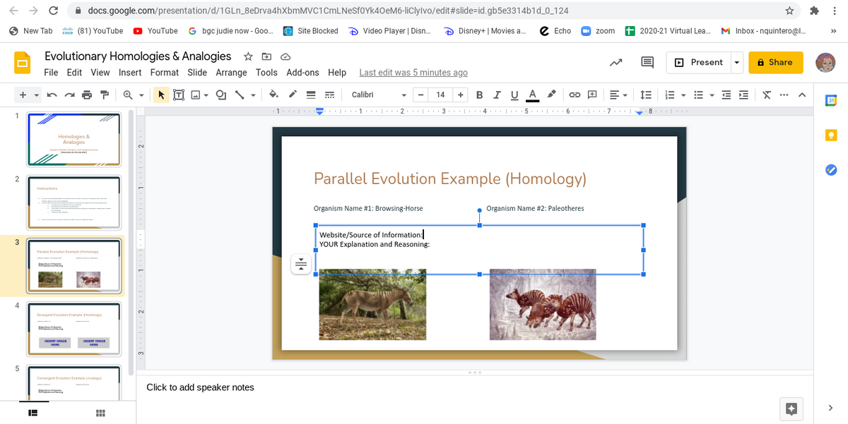 A docs.google.com/presentation/d/1GLN_8eDrva4hXbmMVC1CmLNeSfoYk40eM6-liclylvo/edit#slide=id.gb5e3314b1d_0_124
O New Tab
Cisco (81) YouTube
O YouTube G bgc judie now - Goo.
© Site Blocked Ð Video Player | Disn. Đ Disney+ | Movies a.
e Echa
+ 2020-21 Virtual Lea.
M Inbox - nquintero@l.
zoom
>>
Evolutionary Homologies & Analogies * D O
D Present
A Share
File Edit View Insert Format Slide Arrange Tools Add-ons Help
Last edit was 5 minutes ago
BI U A
1E E - E - E E X …
==
Calibri
14
+
-
31
2. | 3 4 5. |I 6 7II|
8
I
1
Homologies &
Analogies
Parallel Evolution Example (Homology)
Imtructions
Organism Name #1: Browsing-Horse
Organism Name #2: Paleotheres
Website/Source of Information:
YOUR Explanation and Reasoning:
3
Parallel Evolution Example (Homology
2.
Dhvergent Evolutian Ecampla Hamdlag
ERT IMAGE
5
...
Convergent Evoluton tampie jAnalogy
Click to add speaker notes
E te,
