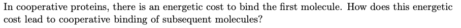 In cooperative proteins, there is an energetic cost to bind the first molecule. How does this energetic
cost lead to cooperative binding of subsequent molecules?
