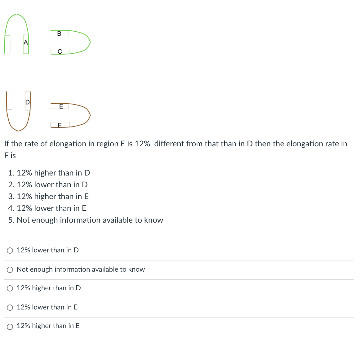 В
A
If the rate of elongation in region E is
diff
fro
th
the elongation rate in
F is
1. 12% higher than in D
2. 12% lower than in D
3. 12% higher than in E
4. 12% lower than in E
5. Not enough information available to know
O 12% lower than in D
O Not enough information available to know
O 12% higher than in D
O 12% lower than in E
12% higher than in E
