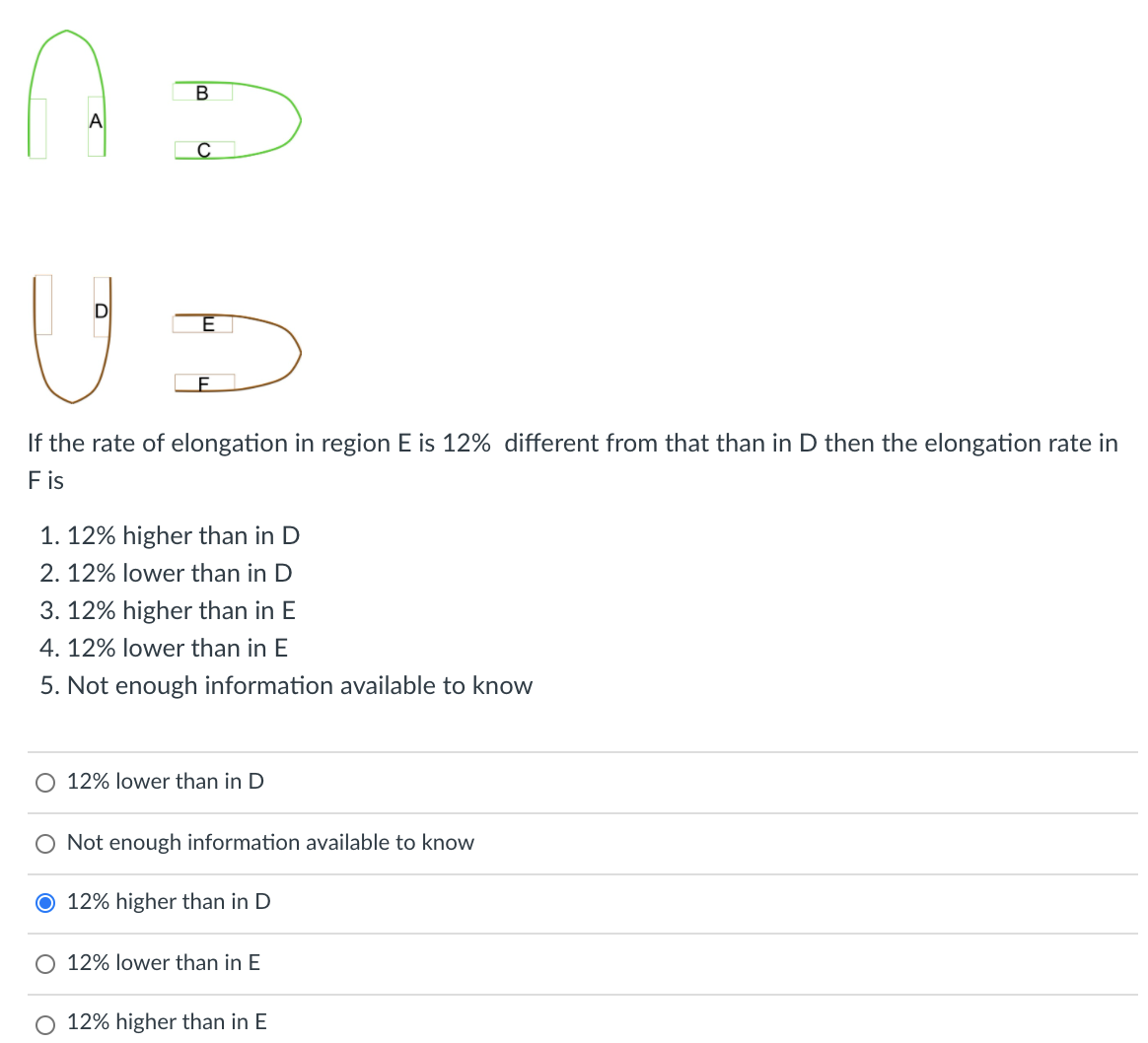 В
A
If the rate of elongation in region E is 12% different from that than in D then the elongation rate in
F is
1. 12% higher than in D
2. 12% lower than in D
3. 12% higher than in E
4. 12% lower than in E
5. Not enough information available to know
O 12% lower than in D
O Not enough information available to know
O 12% higher than in D
O 12% lower than in E
12% higher than in E
