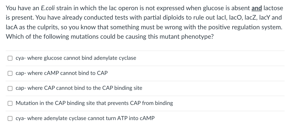 You have an E.coli strain in which the lac operon is not expressed when glucose is absent and lactose
is present. You have already conducted tests with partial diploids to rule out lacl, lacO, lacZ, lacY and
lacA as the culprits, so you know that something must be wrong with the positive regulation system.
Which of the following mutations could be causing this mutant phenotype?
O cya- where glucose cannot bind adenylate cyclase
O cap- where CAMP cannot bind to CAP
O cap- where CAP cannot bind to the CAP binding site
Mutation in the CAP binding site that prevents CAP from binding
O cya- where adenylate cyclase cannot turn ATP into CAMP
