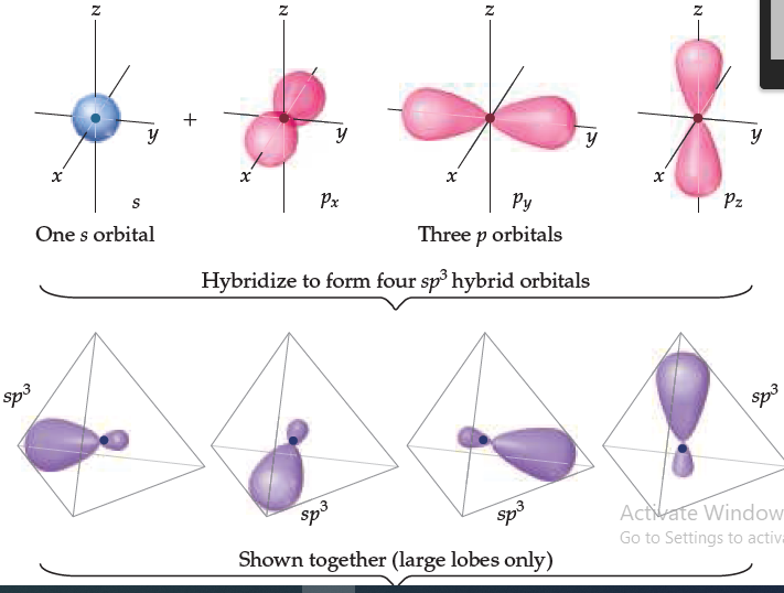 +
y
Px
One s orbital
Py
Three p orbitals
Hybridize to form four sp° hybrid orbitals
Pz
Sp3
Sp3
Sp3
Activate Window
Go to Settings to activa
Shown together (large lobes only)
N
