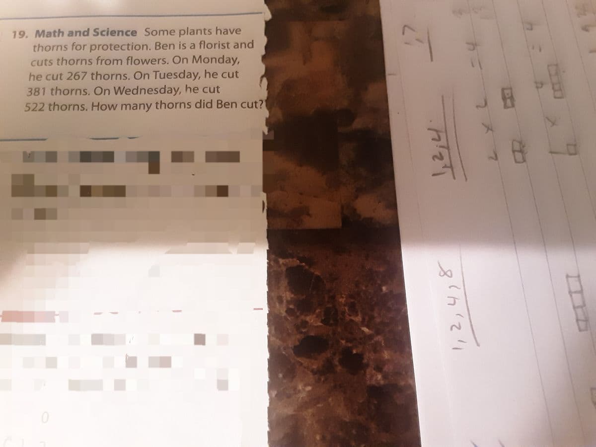 19. Math and Science Some plants have
thorns for protection. Ben is a florist and
cuts thorns from flowers. On Monday,
he cut 267 thorns. On Tuesday, he cut
381 thorns. On Wednesday, he cut
522 thorns. How many thorns did Ben cut?
21
1, 2; 4
8²7/211
8
4
