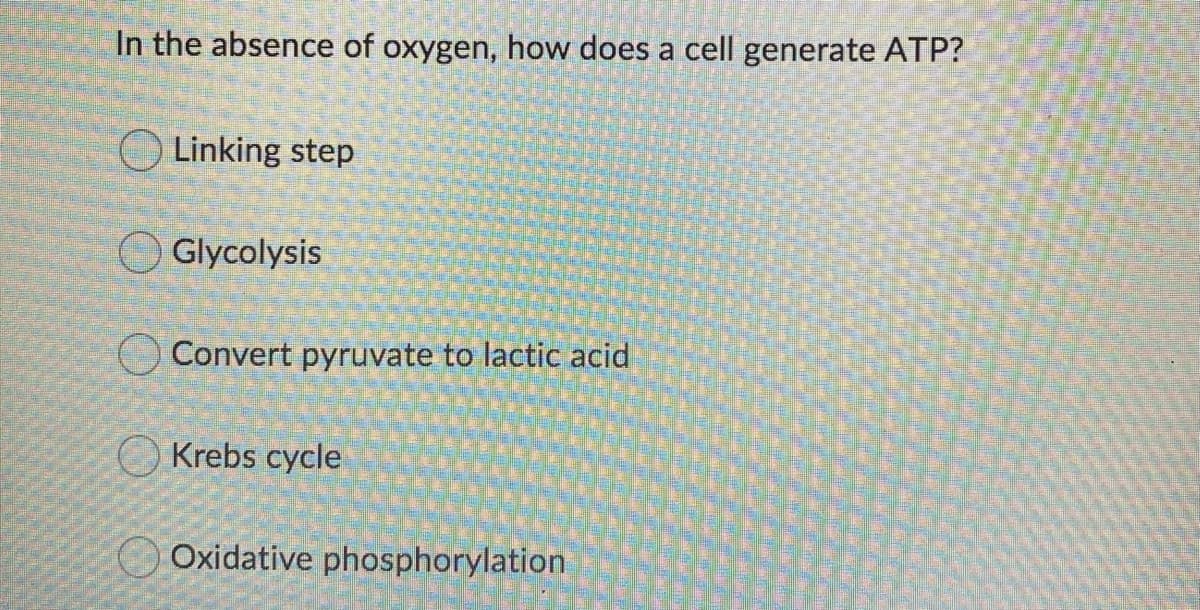 In the absence of oxygen, how does a cell generate ATP?
O Linking step
O Glycolysis
Convert pyruvate to lactic acid
Krebs cycle
Oxidative phosphorylation
