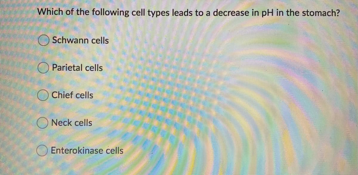 Which of the following cell types leads to a decrease in pH in the stomach?
Schwann cells
O Parietal cells
Chief cells
O Neck cells
O Enterokinase cells
