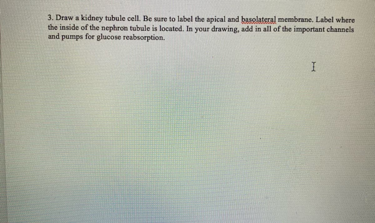 3. Draw a kidney tubule cell. Be sure to label the apical and basolateral membrane. Label where
the inside of the nephron tubule is located. In your drawing, add in all of the important channels
and pumps for glucose reabsorption.
