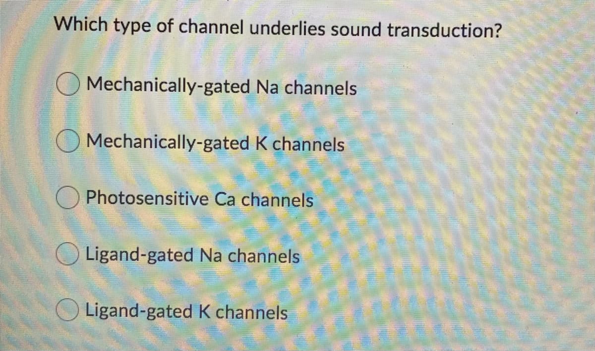 Which type of channel underlies sound transduction?
Mechanically-gated Na channels
O Mechanically-gated K channels
Photosensitive Ca channels
O Ligand-gated Na channels
Ligand-gated K channels
